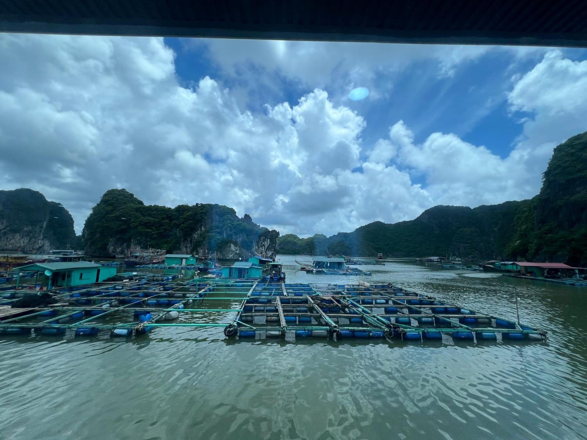 Mb Central Hotel Cat Ba Island Екстериор снимка